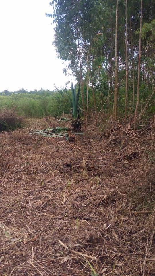 Ndhiwa Agri work overview